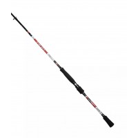 Спиннинг DAYO PILOT 2,4м, тест 10-30гр.