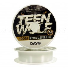 Монофильная леска DAYO TEEN WOLF 100м, 0.20 мм, 2.95 кг, прозрачная